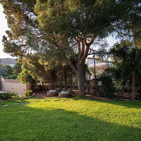Apartmán Sounio Panoramic Loft Sounion Exteriér fotografie